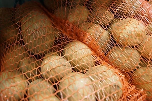 Патрушев заявил, что цены на картофель не росли, а вернулись к показателям двухлетней давности