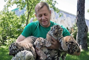 «Это не дурь»: В крымском парке «Тайган» раскрыли причину нападения льва на Зубкова