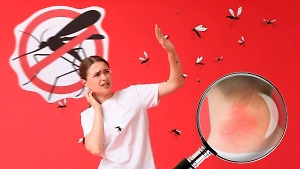 5 причин, почему укус комара может быть смертельно опасен, и что делать, если всё распухло
