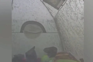 Палатку с туристами и собакой атаковали комары у болота под Горноправдинском