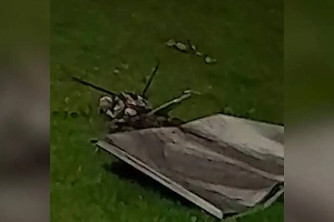 Появились кадры с обломками украинского дрона, упавшего в Красногорске 