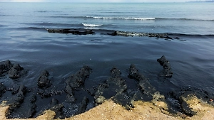 В Анапе и Темрюкском районе туристы будут подписывать форму о запрете купания