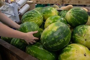 Россиянам рассказали, можно ли «на глазок» выявить нитратный арбуз