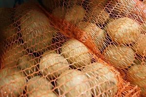 Эксперт поделился с Life.ru лайфхаками, как выбрать идеальный молодой картофель