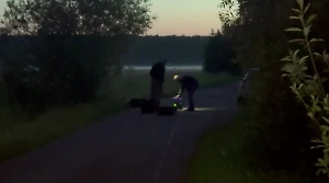 ФСБ показала видео с места ликвидации агентов Киева, готовивших теракт в Подмосковье