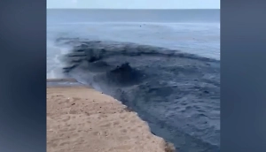 На видео сняли чёрную жижу, льющуюся потоком в озеро Ханка в Приморье