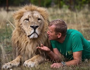 Директор парка «Тайган», на которого напал лев, передал письмо из больницы