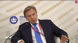 Пушков назвал героя из Дании, опередившего Макрона в борьбе за глупость года