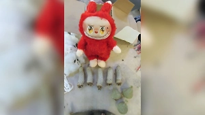 Лабубу с неожиданной начинкой нашли российские таможенники