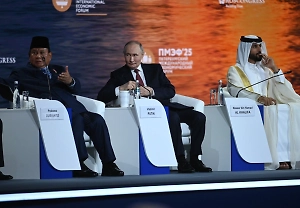 Путин предложил странам Африки покупать у РФ «закуску» вслед за водкой