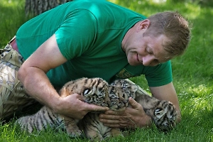 Запашный рассказал о состоянии директора парка «Тайган» после нападения льва