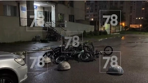 Полиция задержала 70 велосипедистов на Васильевском острове за хулиганство