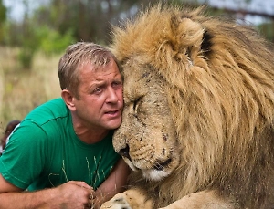 На владельца «Тайгана» напали львы, которые в прошлом году загрызли сотрудницу парка