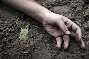 Ложь и провокация: Киев обвинили в циничных манипуляциях с телами военных
