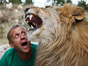 «Он оказался у него на пути»: Стало известно, почему лев набросился на владельца «Тайгана»