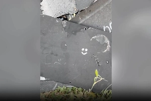 На видео сняли прилетевшую на Украину «Герань» со смайликом