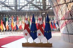 Еврокомиссия понизила статус Грузии в переговорах о вступлении в ЕС