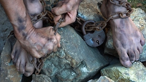 Восемь туристов из Тайваня попали в рабство, отправившись за деньгами в Таиланд