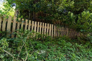 Дачникам внимание! Террористы, сбежавшие из СИЗО на Урале, могут прятаться в загородных домах