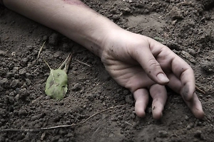 «Никто не выжил»: В Курской области сообщили о гибели всех жителей села время оккупации ВСУ