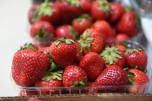 Спрос стабилен: Россиянам раскрыли, когда упадут цены на клубнику