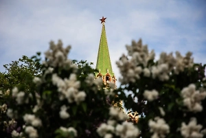 Кремль прокомментировал ночные удары по Украине