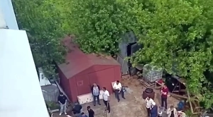 Подмосковный Курбан-байрам: Разделка коровы во дворе многоэтажки попала на видео