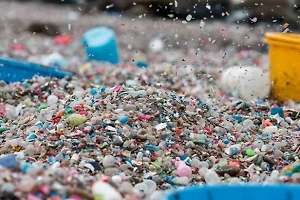 «Толком не доказано»: Биолог рассказал, почему не стоит преувеличивать вред микропластика