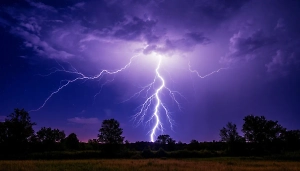 Молния ударила в беседку на пляже в Подмосковье, пострадало 8 отдыхающих