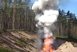 Миллиардную партию кокаина пустили «в расход» под Петербургом