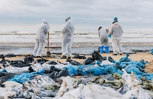 Кондратьев: Краснодарский край, несмотря на мазут, принял в июне 2,5 млн туристов