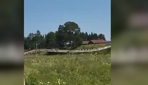 «‎Господи, спаси и помоги»! На видео сняли момент падения моста с крестоходцами в Вологде