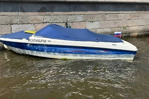 «Ковчег» чуть не отправил на дно «Колибри» с туристами в Петербурге — видео тарана