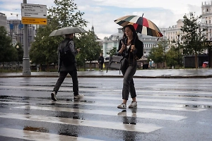 Тишковец: В Подмосковье за 12 часов выпало свыше 80% месячной нормы осадков