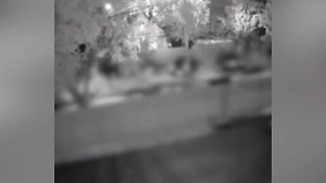 Момент уничтожения украинского БПЛА над подмосковным Домодедово попал на видео