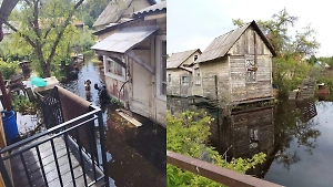 Болото наступает: В Подмосковье садоводы месяц живут по колено в воде