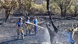 На западе Крыма потушили ландшафтный пожар на 40 га