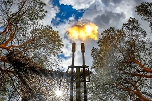 Минобороны: Силы ПВО сбили над регионами РФ 40 украинских дронов за 3,5 часа