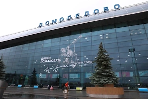 План «Ковёр» ввели в аэропортах Домодедово и Жуковский  