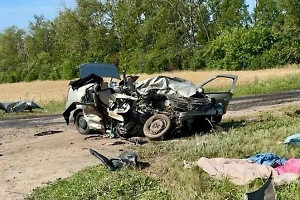 В аварии под Пензой погибли взрослые и двое маленьких детей