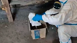 СВУ, пластит и хлорпикрин: Появилось первое видео схрона ВСУ с химоружием в ДНР