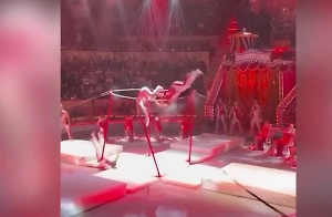 Турник сломался под акробатом во время номера в цирке Петербурга