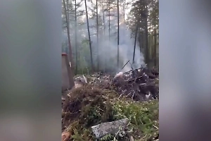 От самолёта почти ничего не осталось: Появилось первое видео с места крушения Ан-24 в Приамурье
