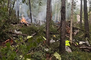 Спасатель объяснил, почему пассажиры рухнувшего Ан-24 не смогли бы выжить в тайге