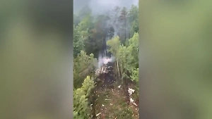 Годовалая девочка и онколог Майзель погибли при крушении Ан-24 в Приамурье