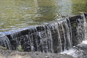 На севере Красноярского края ввели режим ЧС из-за прорыва дамбы