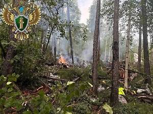 На месте крушения самолёта Ан-24 в Амурской области обнаружены чёрные ящики