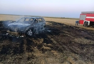 Погибшими при ударе дрона ВСУ в машину под Ростовом оказались хирург из Калмыкии и его брат