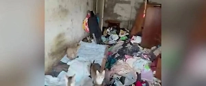 Москвичка с 25-ю кошками и горами мусора в квартире воюет с соседями