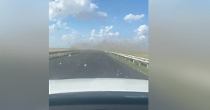 Саранча закрыла небо: Водители в шоке от нашествия насекомых на федеральной трассе